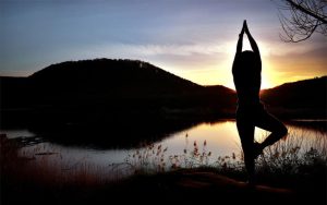 Yoga für Vata – der Baum