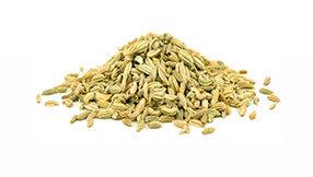 Fenchel Ayurveda Gewürz