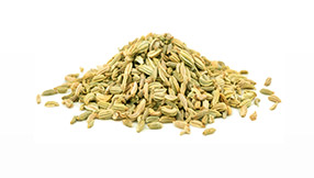 Fenchel Ayurveda Gewürz